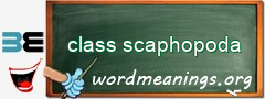 WordMeaning blackboard for class scaphopoda